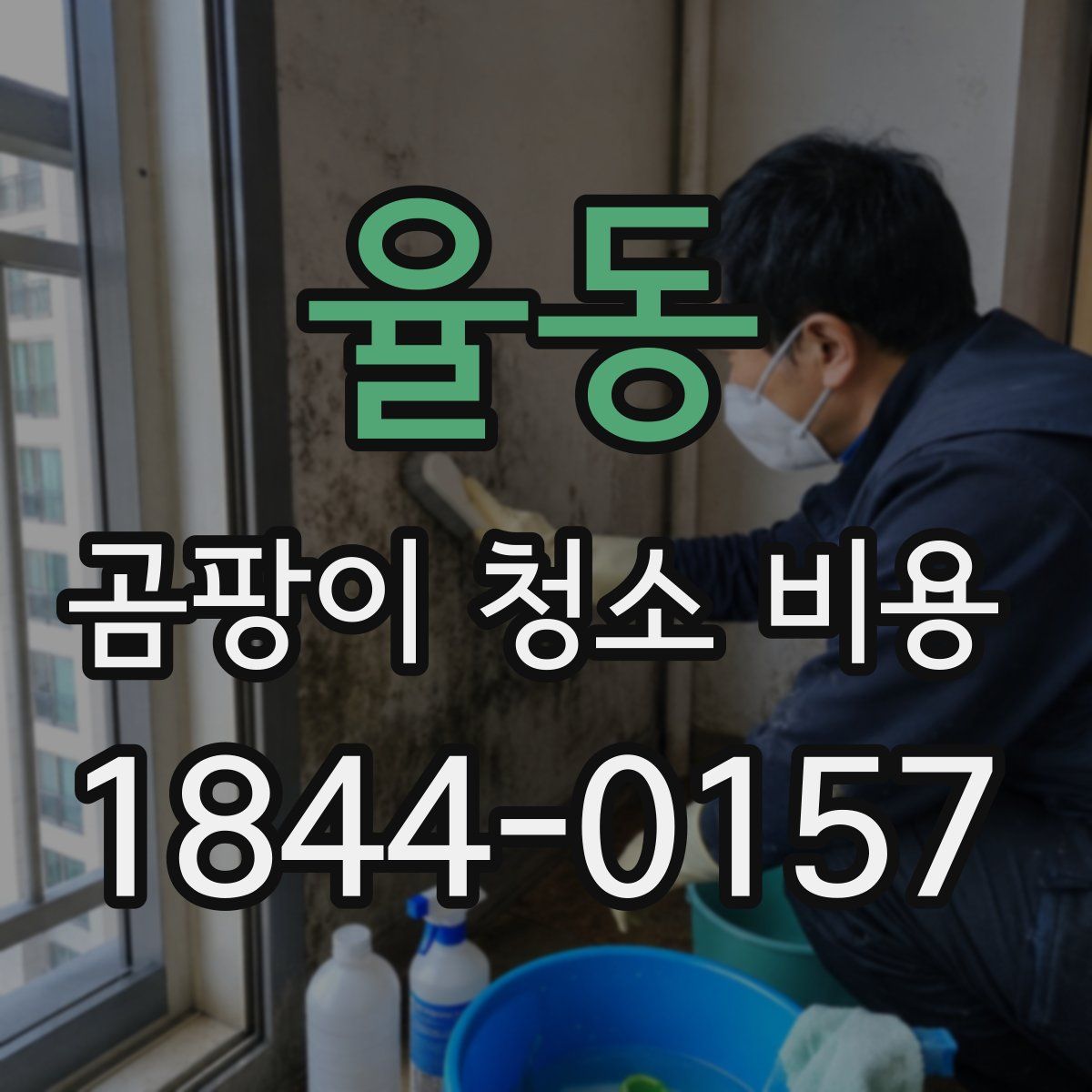 율동 곰팡이 청소 비용
