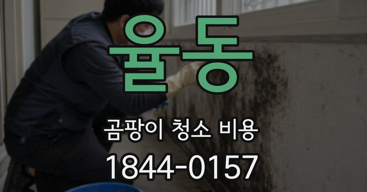 율동 곰팡이 청소 비용