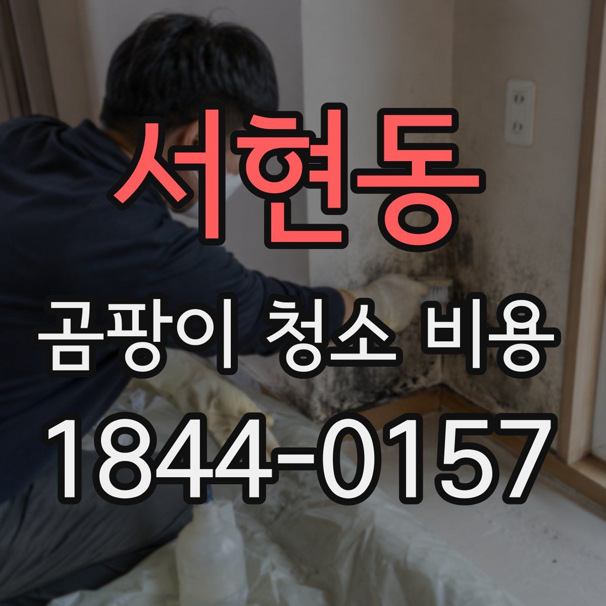 서현동 곰팡이 청소 비용