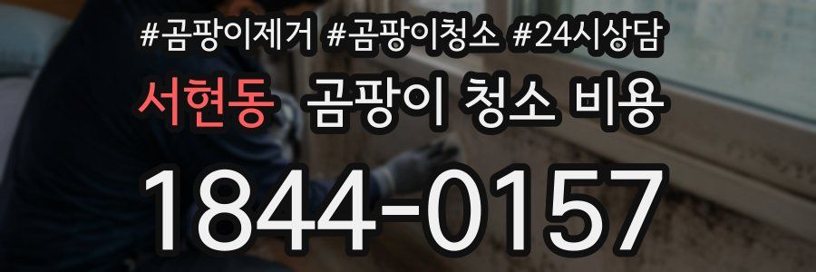 서현동 곰팡이 청소 비용