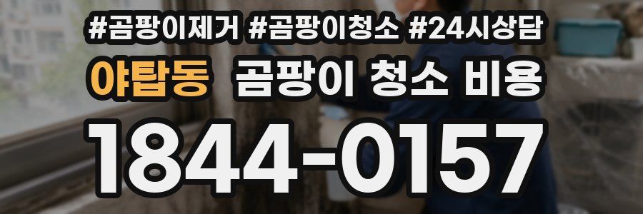 야탑동 곰팡이 청소 비용