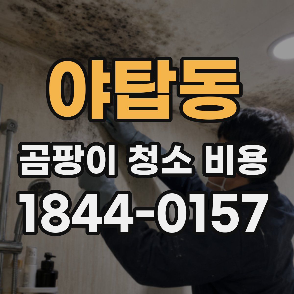 야탑동 곰팡이 청소 비용