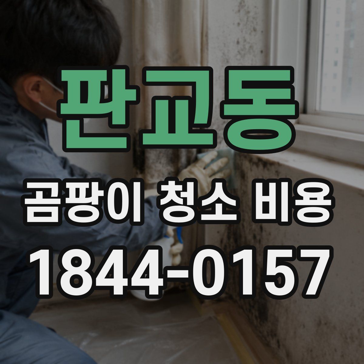 판교동 곰팡이 청소 비용