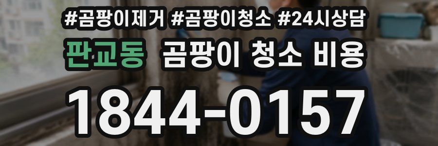 판교동 곰팡이 청소 비용