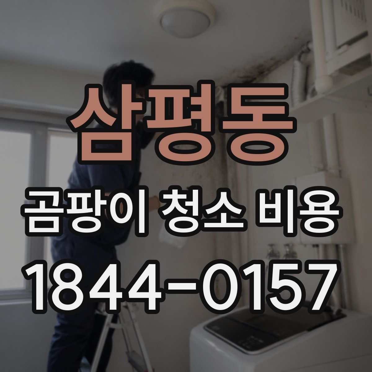 삼평동 곰팡이 청소 비용