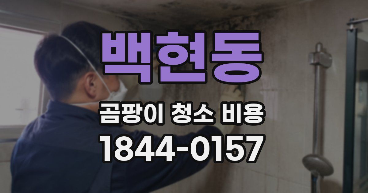 백현동 곰팡이 청소 비용