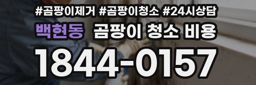 백현동 곰팡이 청소 비용