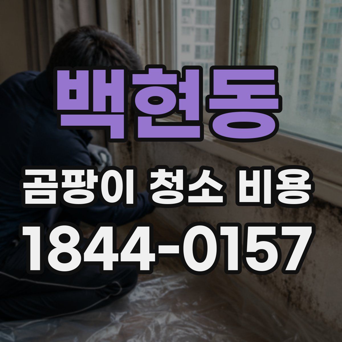 백현동 곰팡이 청소 비용