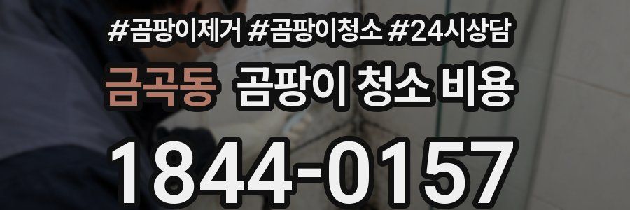 금곡동 곰팡이 청소 비용