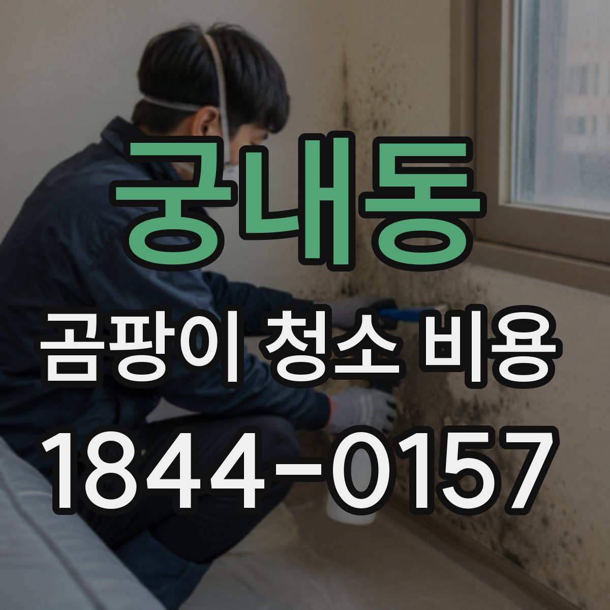궁내동 곰팡이 청소 비용