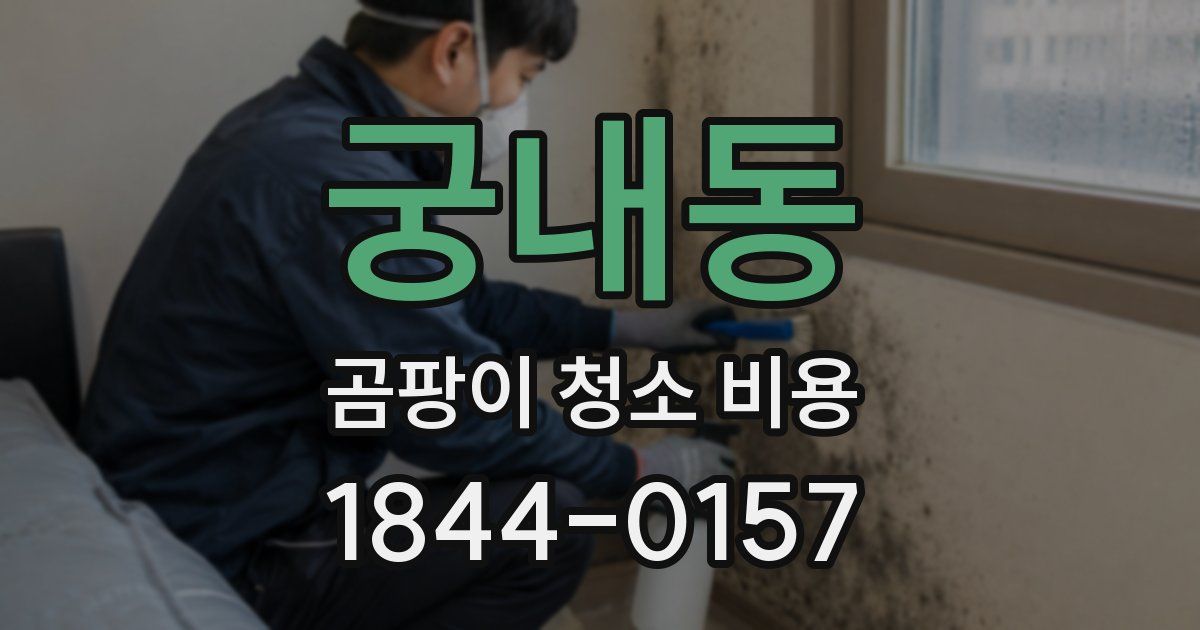 궁내동 곰팡이 청소 비용