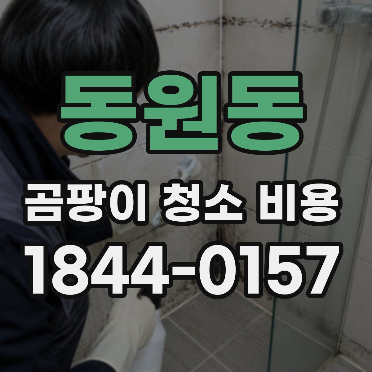 동원동 곰팡이 청소 비용