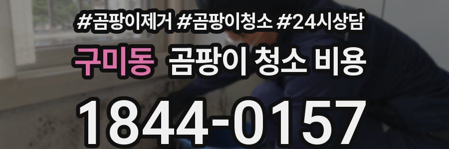 구미동 곰팡이 청소 비용