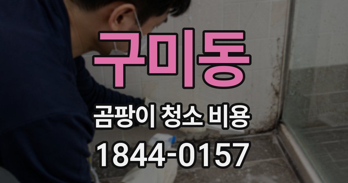 구미동 곰팡이 청소 비용