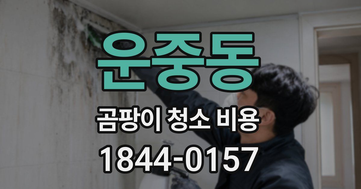 운중동 곰팡이 청소 비용