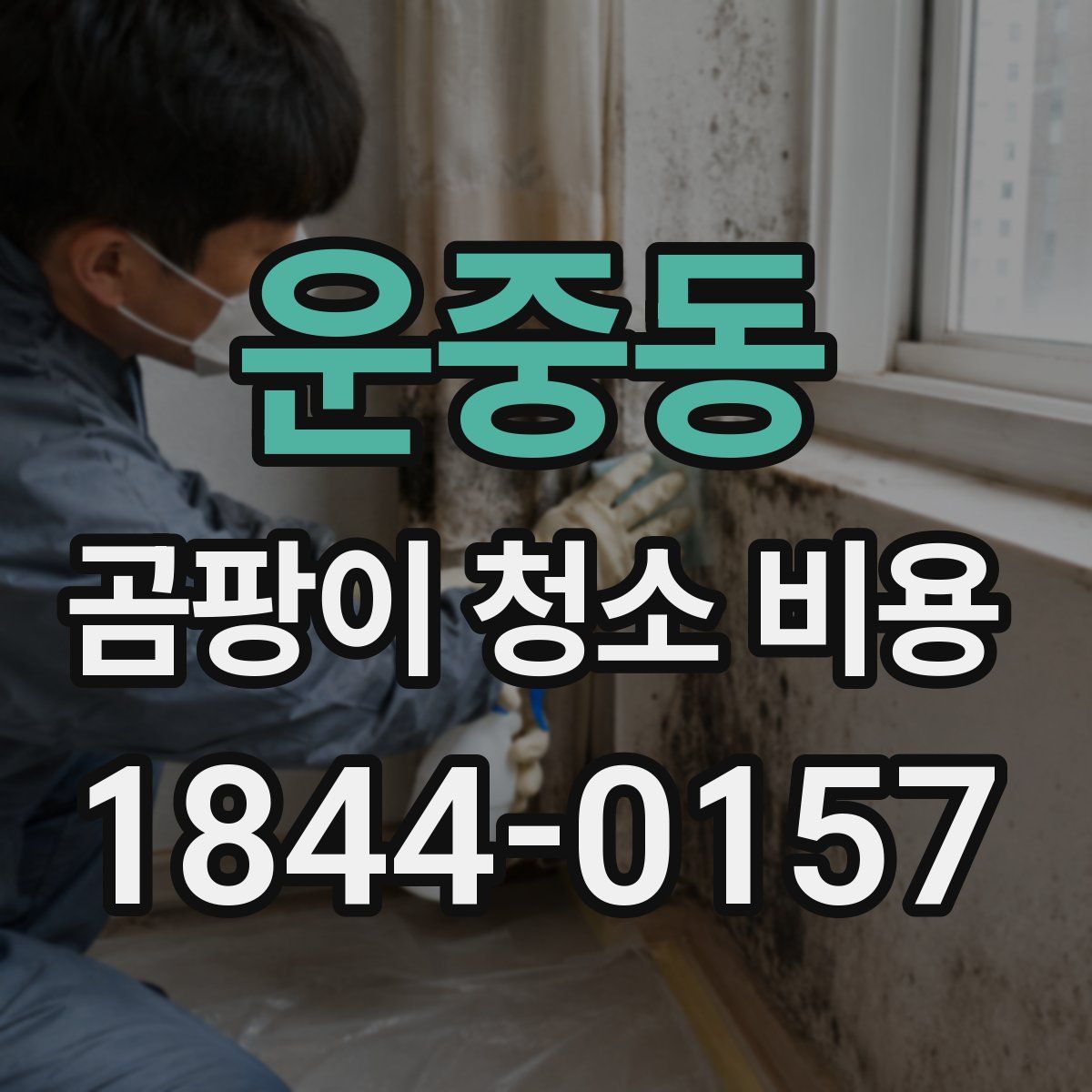 운중동 곰팡이 청소 비용