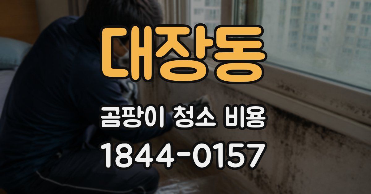 대장동 곰팡이 청소 비용