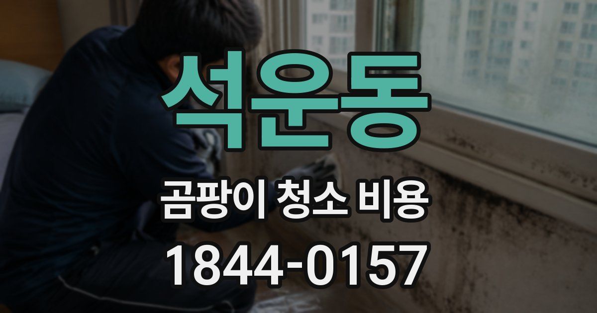 석운동 곰팡이 청소 비용