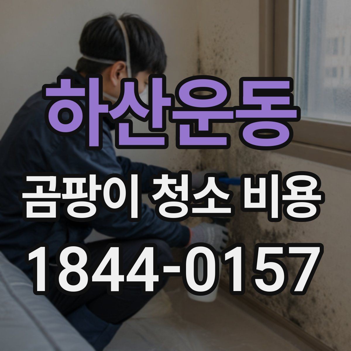 하산운동 곰팡이 청소 비용 상담 전에 확인하면 좋은 작업 범위와 상태