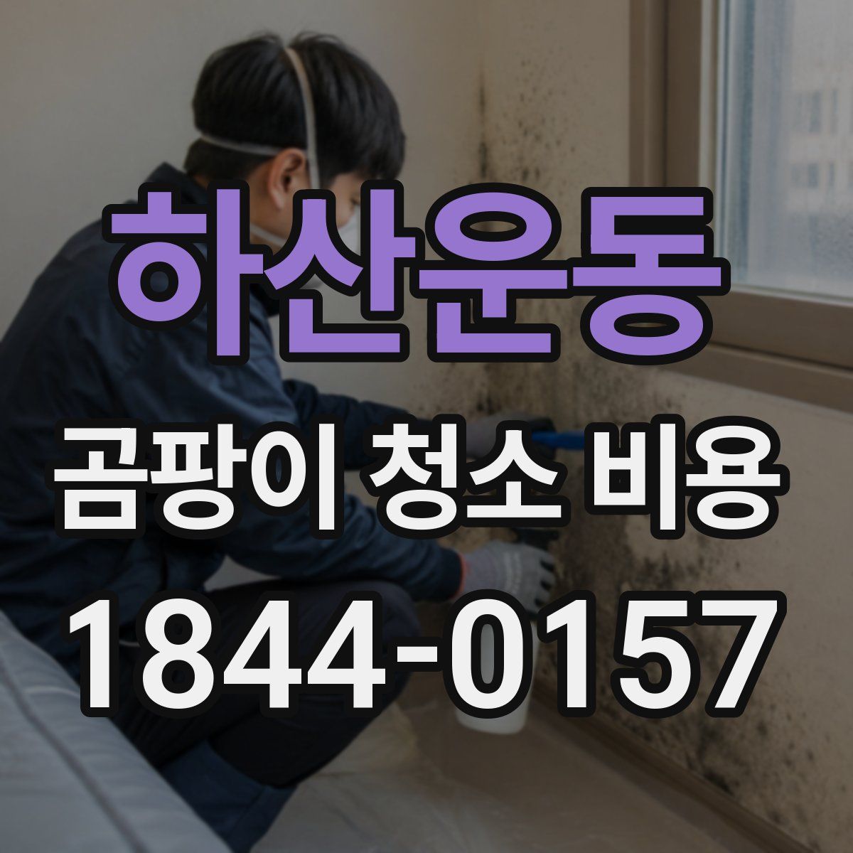 하산운동 곰팡이 청소 비용