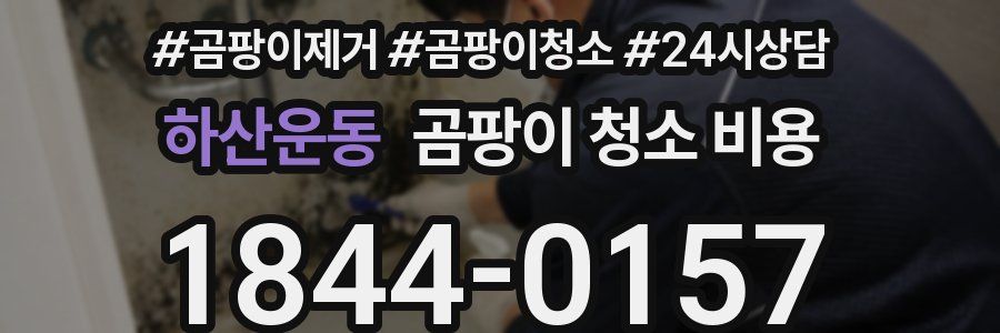 하산운동 곰팡이 청소 비용
