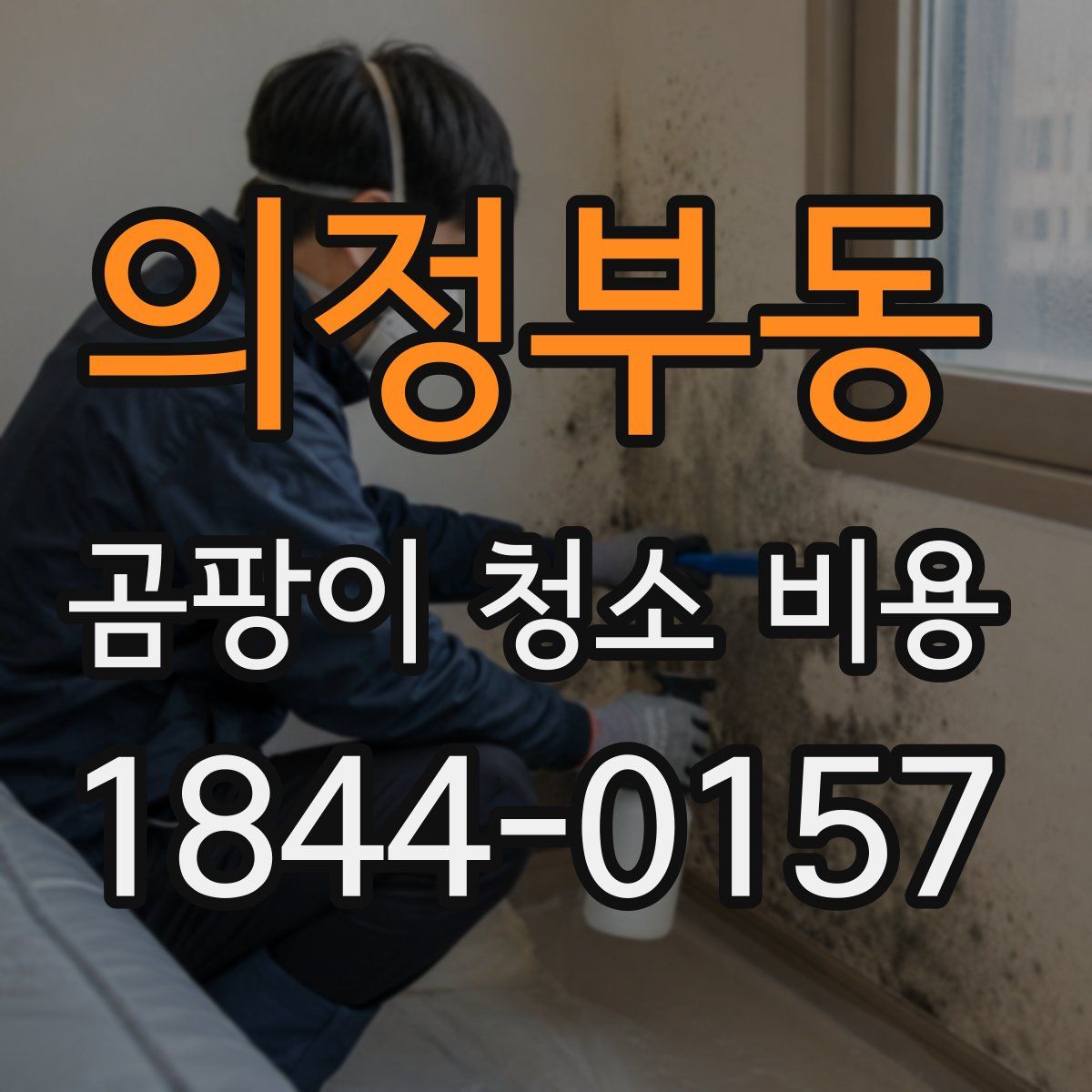 의정부동 곰팡이 청소 비용