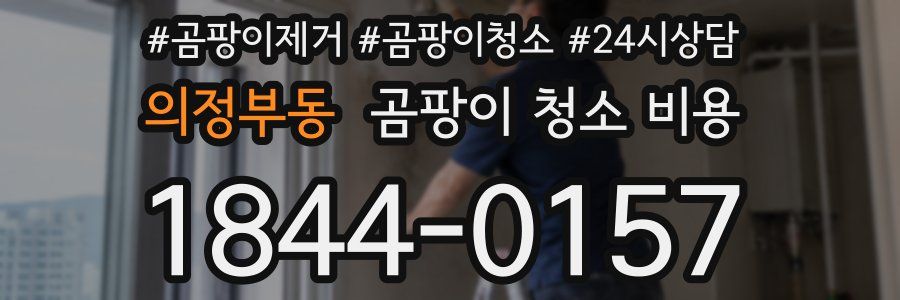 의정부동 곰팡이 청소 비용