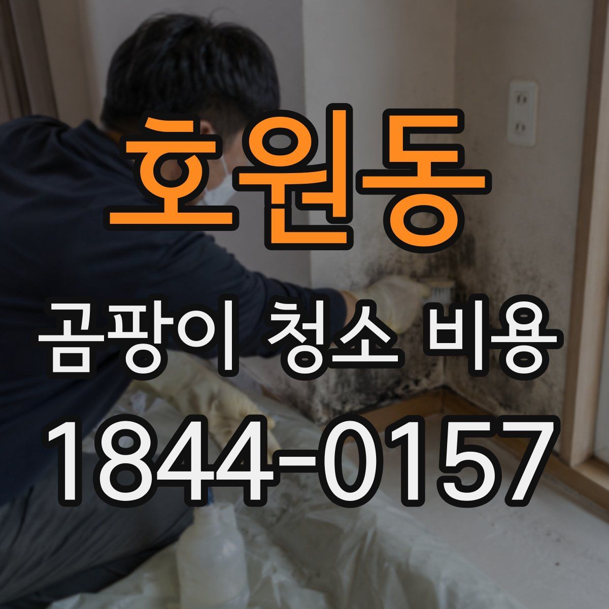 호원동 곰팡이 청소 비용