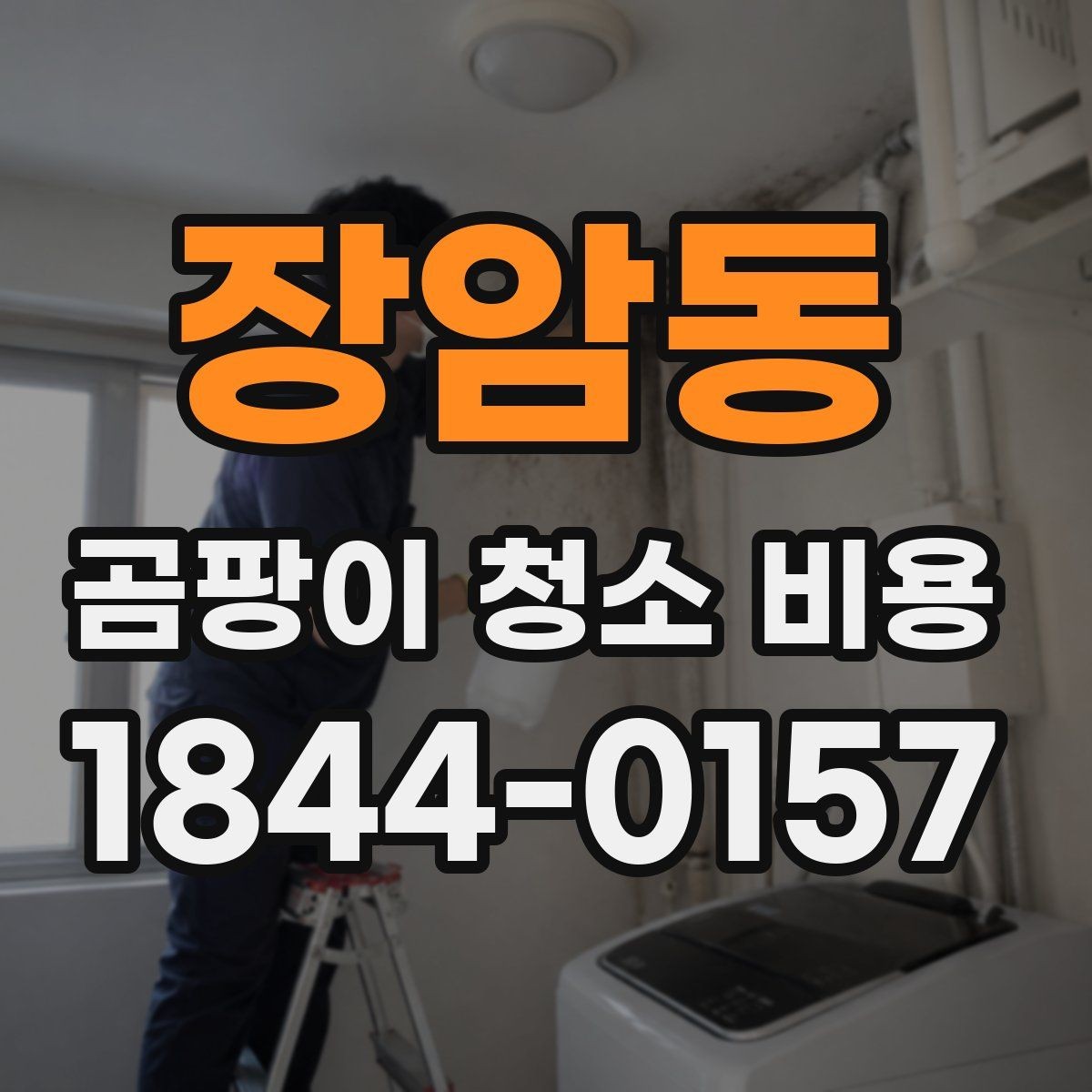 장암동 곰팡이 청소 비용 냉장고 주변 벽면 오염 처리 포인트