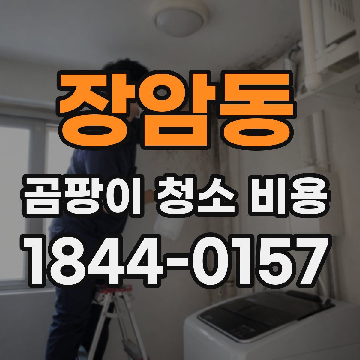 장암동 곰팡이 청소 비용