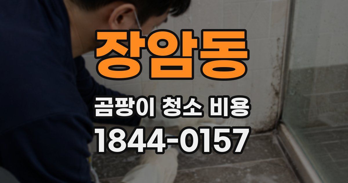 장암동 곰팡이 청소 비용