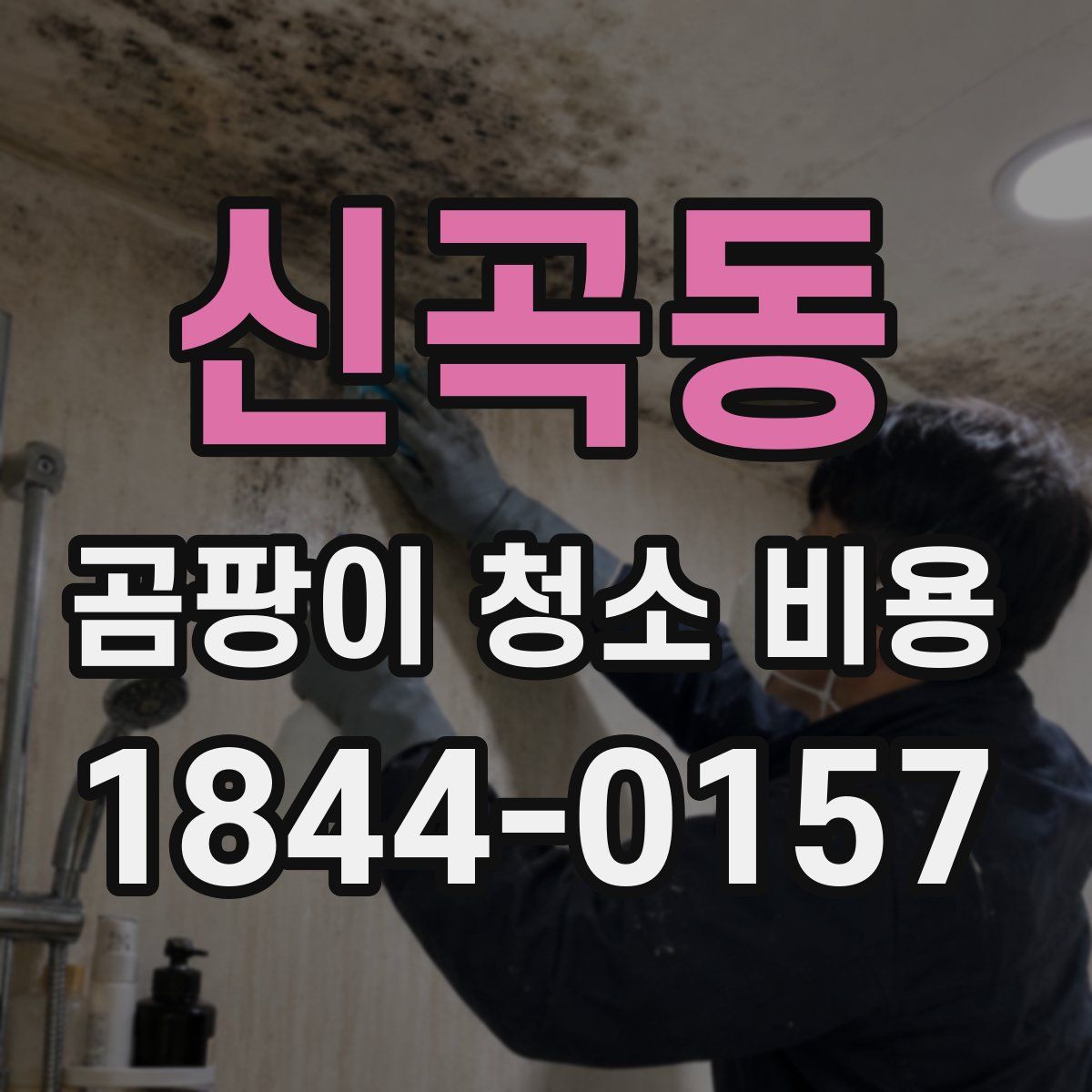 신곡동 곰팡이 청소 비용