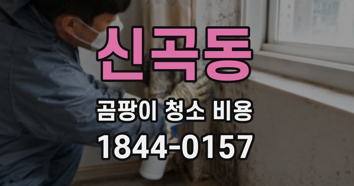 신곡동 곰팡이 청소 비용