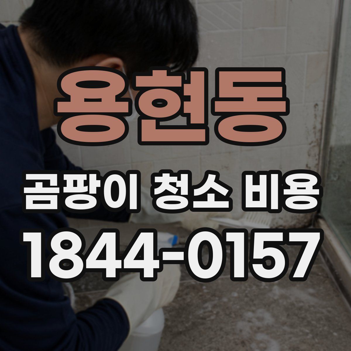 용현동 곰팡이 청소 비용