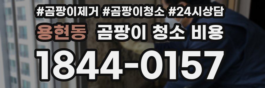용현동 곰팡이 청소 비용