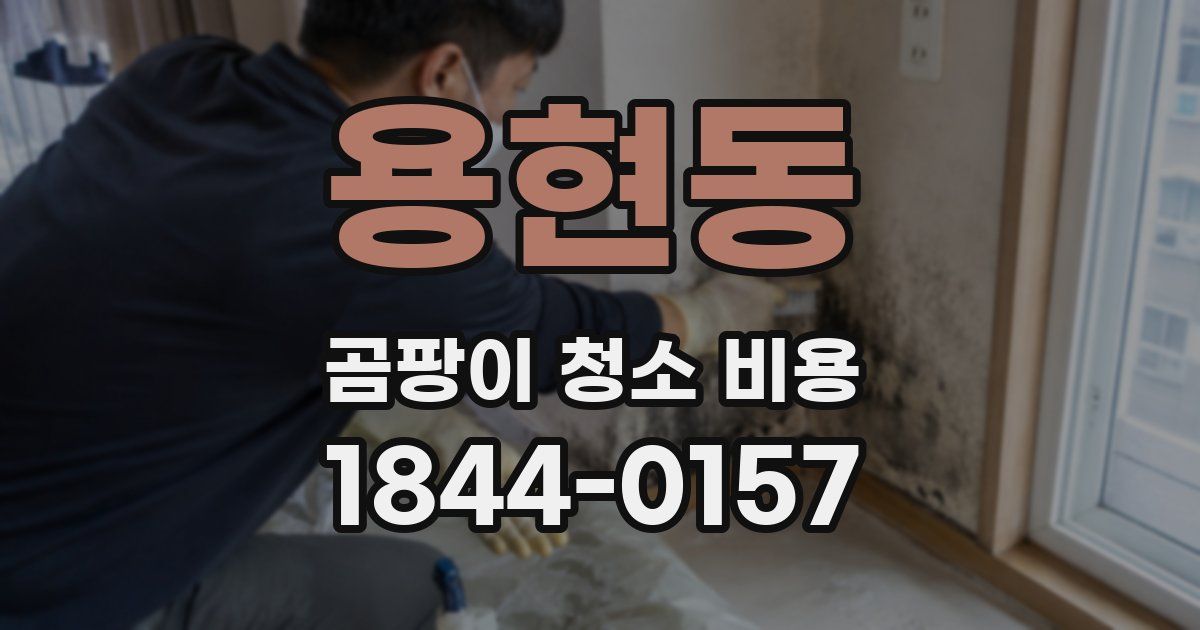 용현동 곰팡이 청소 비용