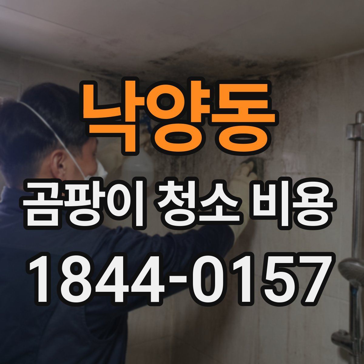 낙양동 곰팡이 청소 비용