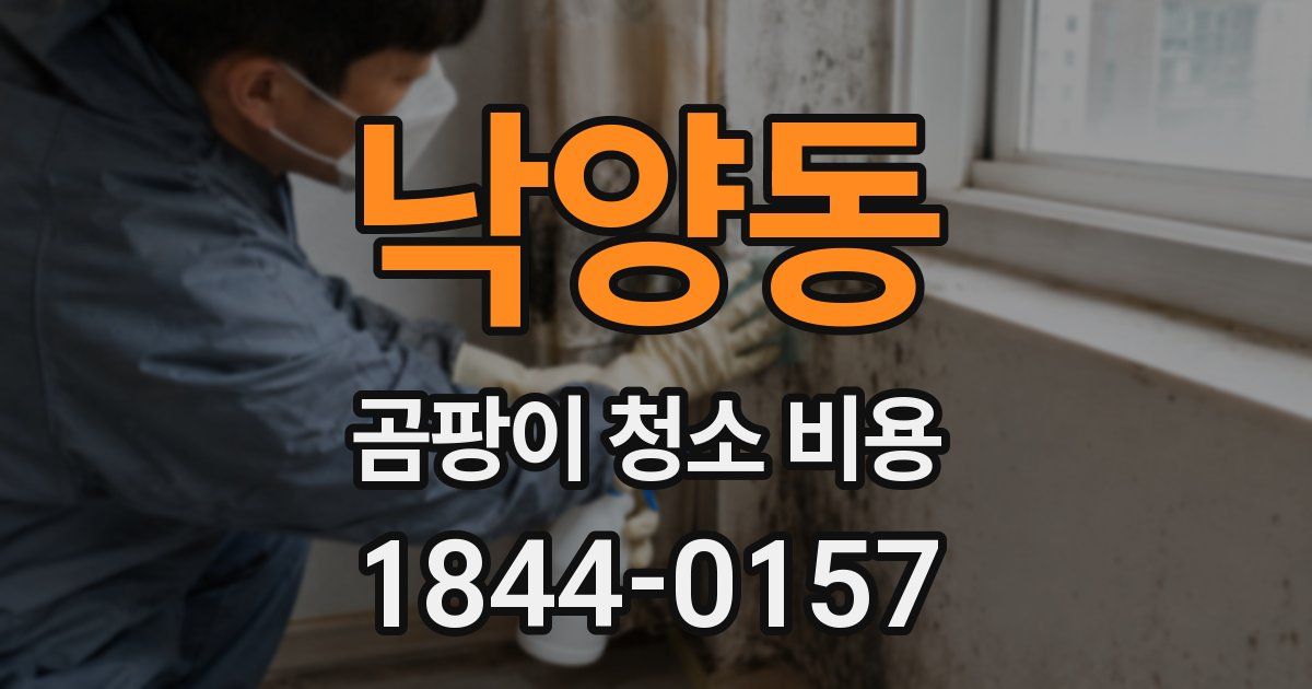 낙양동 곰팡이 청소 비용
