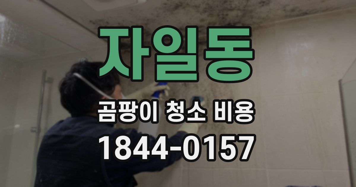자일동 곰팡이 청소 비용