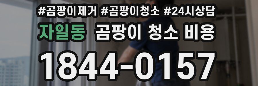 자일동 곰팡이 청소 비용