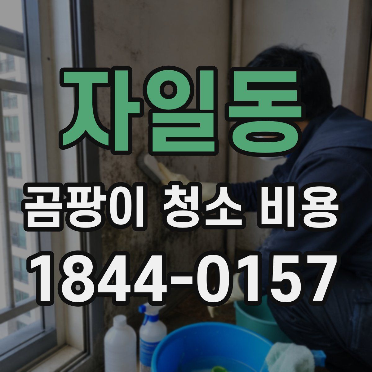 자일동 곰팡이 청소 비용