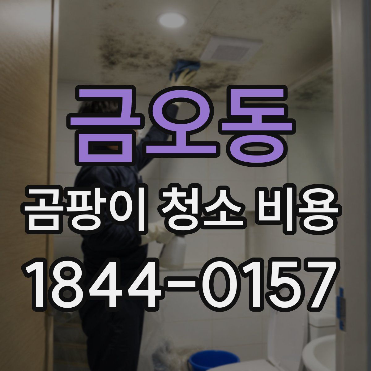 금오동 곰팡이 청소 비용