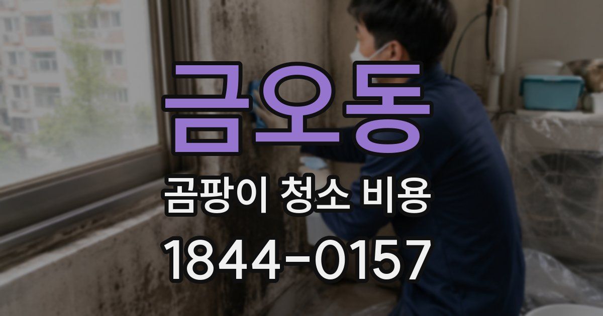 금오동 곰팡이 청소 비용