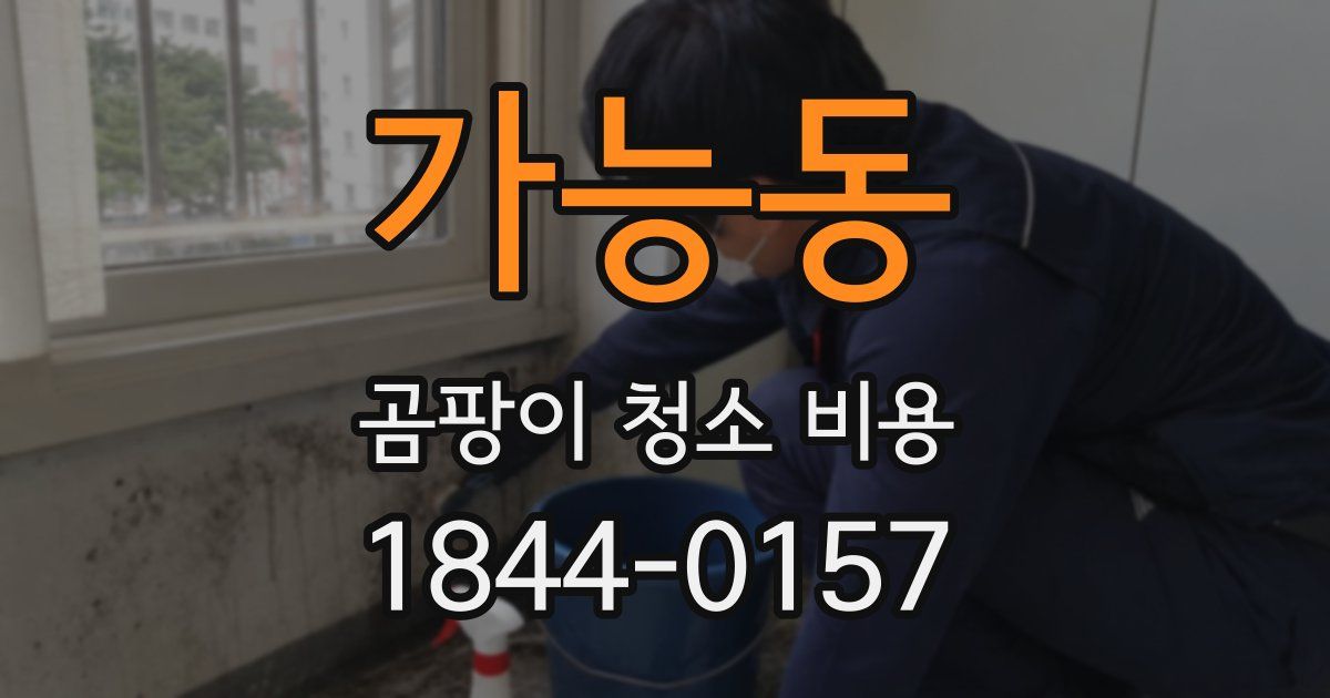 가능동 곰팡이 청소 비용