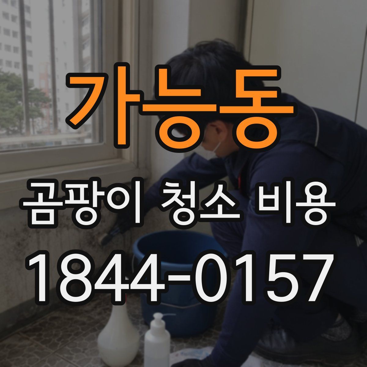 가능동 곰팡이 청소 비용