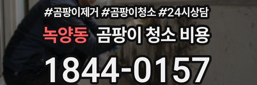 녹양동 곰팡이 청소 비용