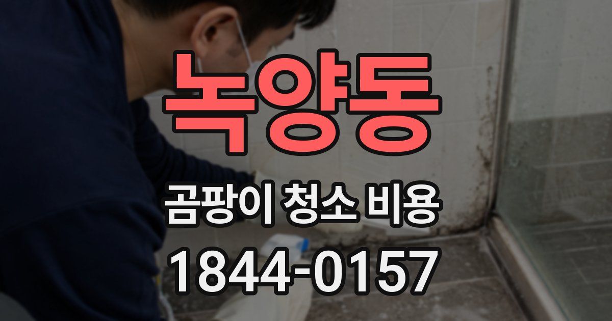 녹양동 곰팡이 청소 비용
