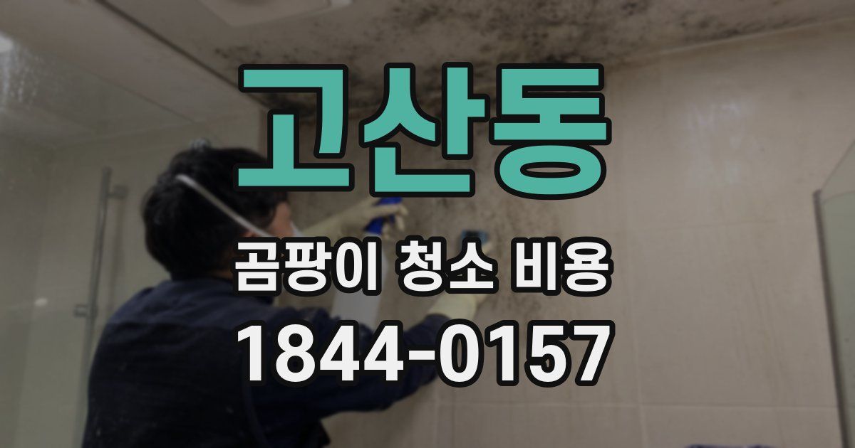 고산동 곰팡이 청소 비용