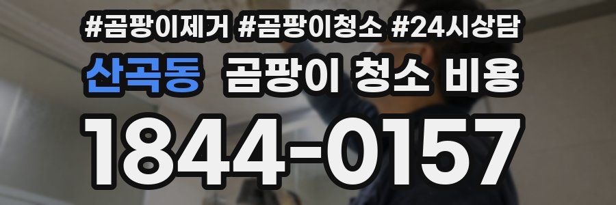 산곡동 곰팡이 청소 비용
