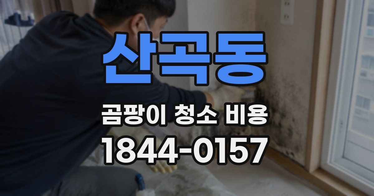 산곡동 곰팡이 청소 비용